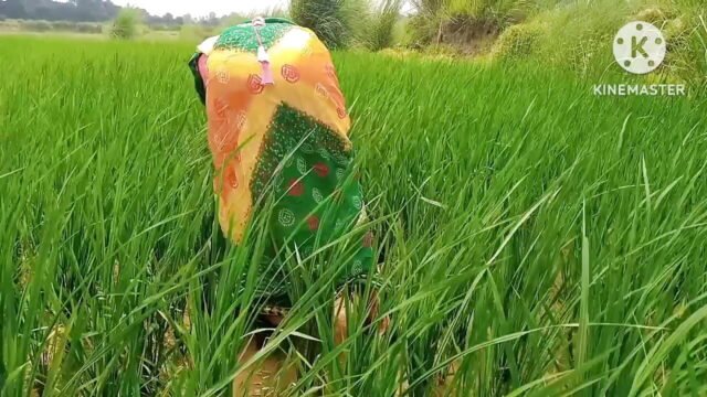 Indian Girls And Desi Lover made A Fuck sex Hinde Audio
